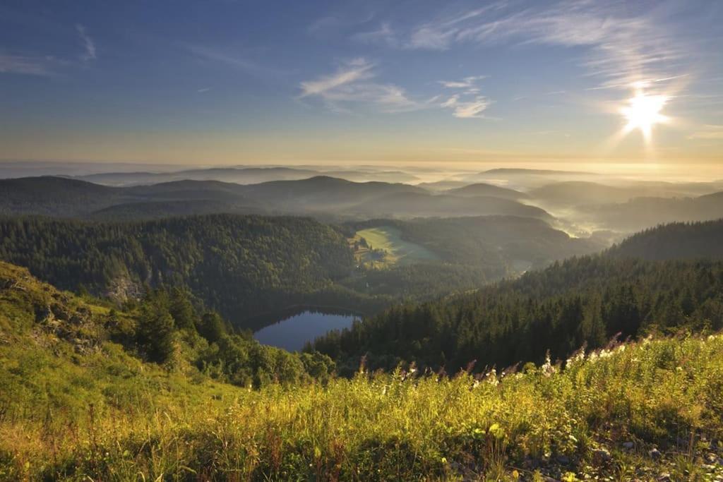 Waldlicht Titisee Экстерьер фото