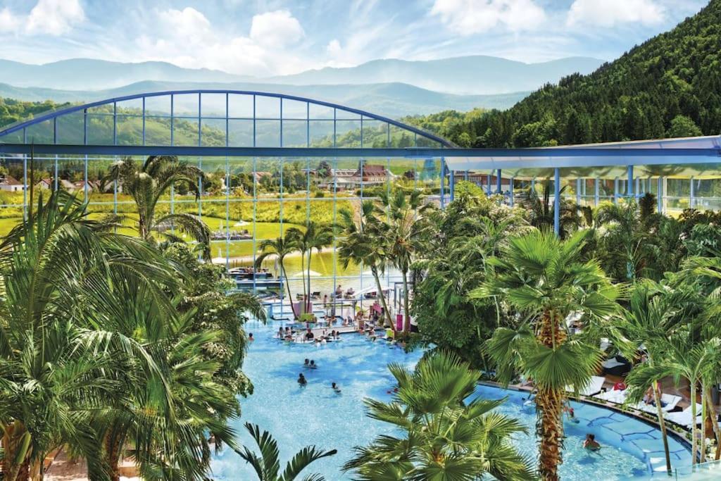 Waldlicht Titisee Экстерьер фото