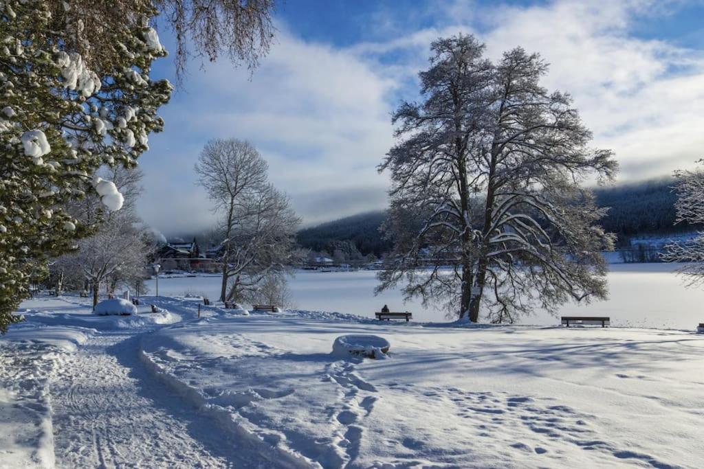 Waldlicht Titisee Экстерьер фото