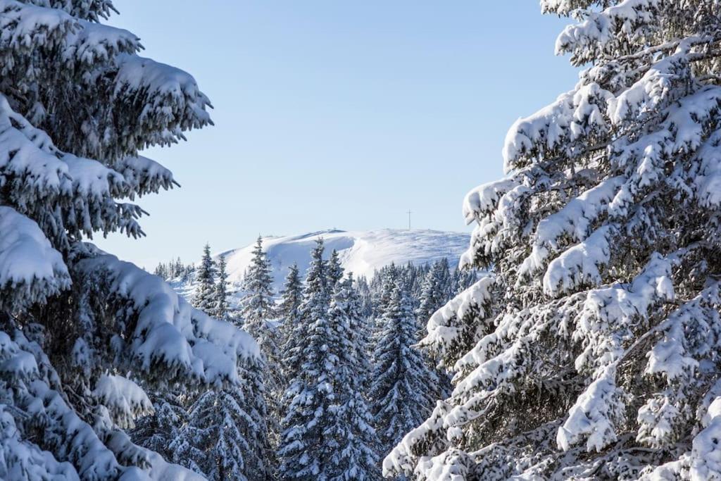 Waldlicht Titisee Экстерьер фото