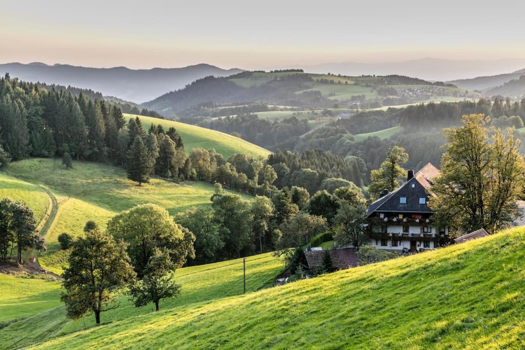 Waldlicht Titisee Экстерьер фото
