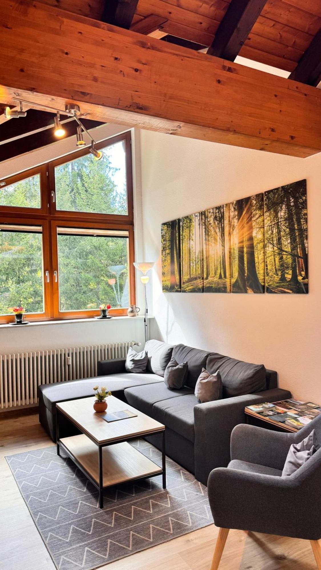 Waldlicht Titisee Экстерьер фото